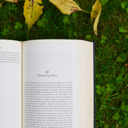 Genel Gönderi Önizlemesi